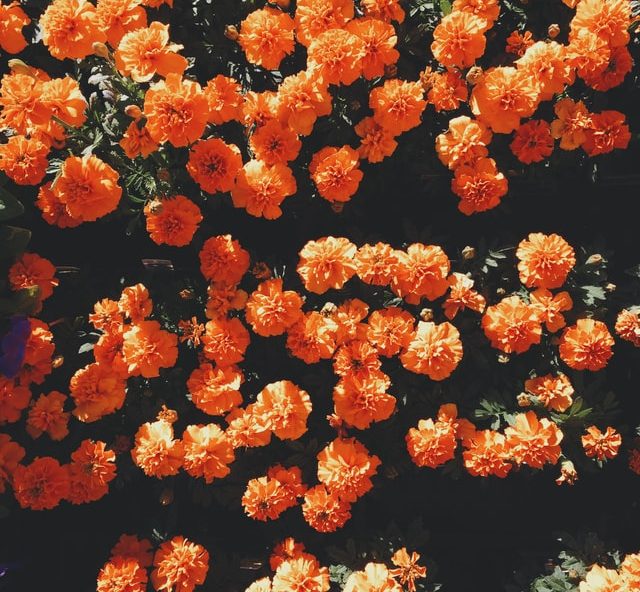 tendencias branding 2022